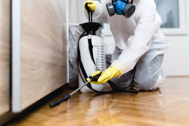 Best Cockroach Control Services  in Boardman, OR