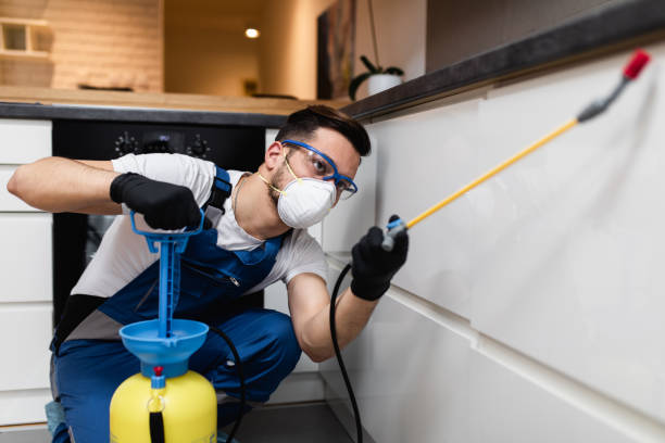 Best Termite Control Services  in Boardman, OR