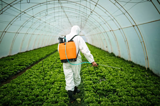 Pest Control Cost in Boardman, OR