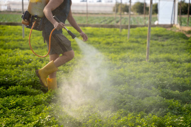Best Ant Control Services  in Boardman, OR