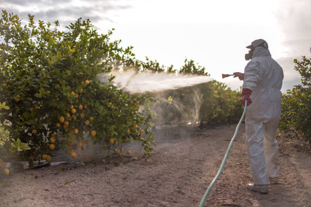 Pest Prevention Services in Boardman, OR