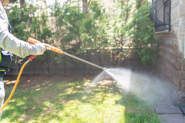 Best Flea Control Services  in Boardman, OR