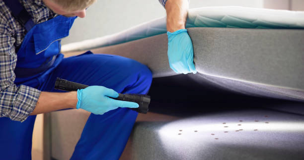 Best Affordable Pest Control Services  in Boardman, OR