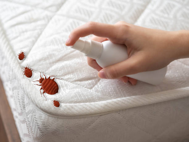 Best Commercial Pest Control Services  in Boardman, OR