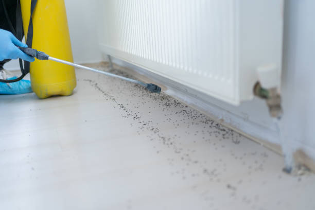 Best Pest Removal Services  in Boardman, OR